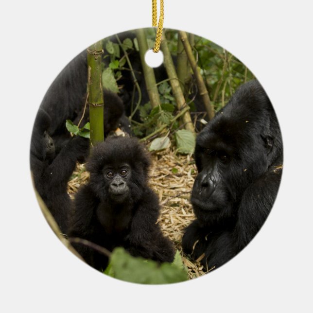 Mountain Gorilla, adult with young Ceramic Tree Decoration (Front)