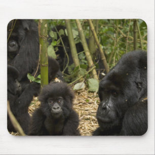 Mountain Gorilla, adult with young Mouse Mat