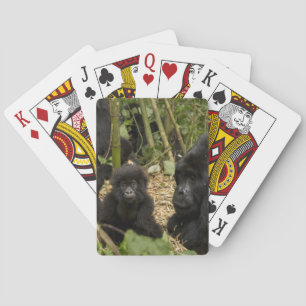 Mountain Gorilla, adult with young Playing Cards