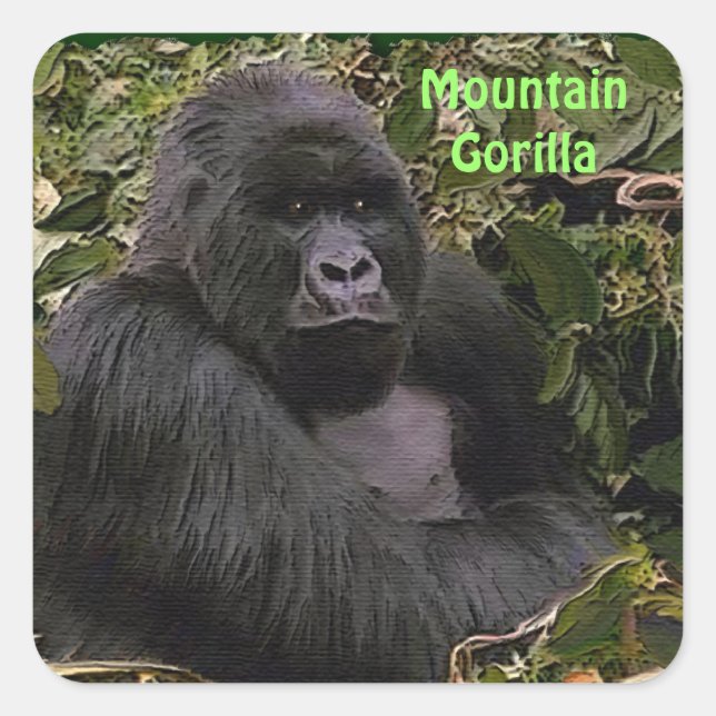 Mountain Gorilla African Wildlife Sticker (Front)