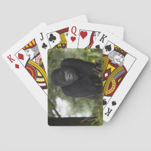 Mountain Gorilla and Silverback 3 Playing Cards