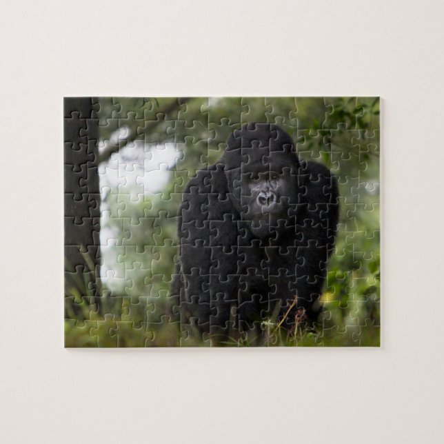 Mountain Gorilla and Silverback Jigsaw Puzzle (Horizontal)