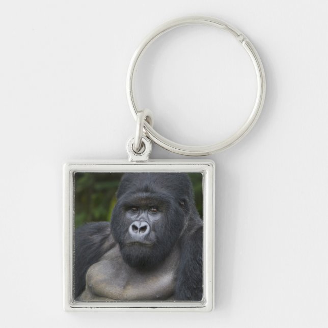 Mountain Gorilla and Silverback Key Ring (Front)