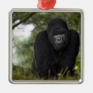 Mountain Gorilla and Silverback Metal Tree Decoration