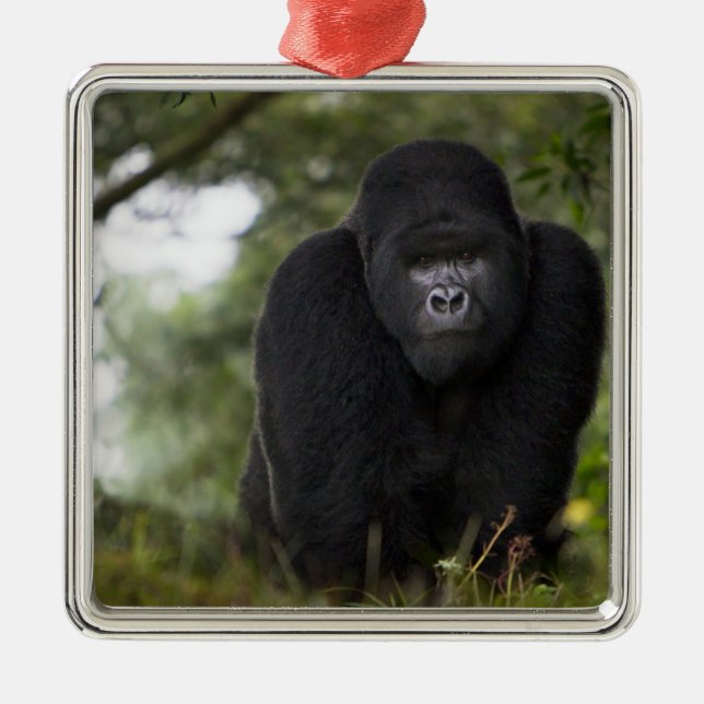 Mountain Gorilla and Silverback Metal Tree Decoration (Front)