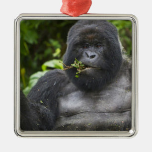 Mountain Gorilla and Silverback Metal Tree Decoration