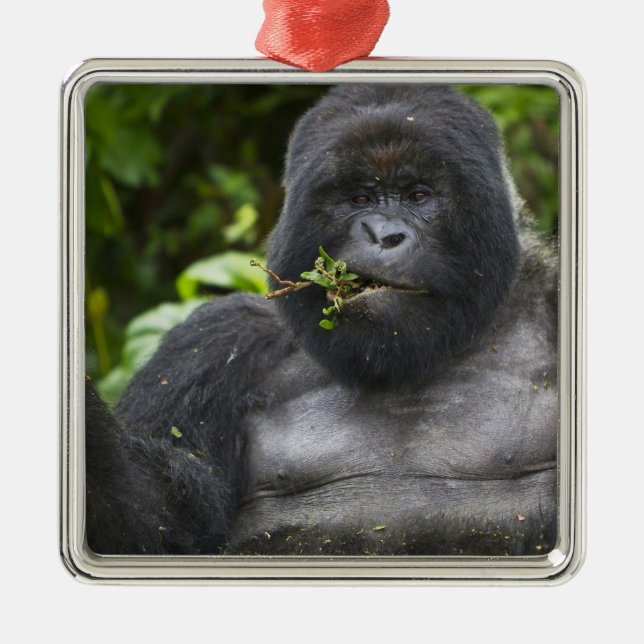 Mountain Gorilla and Silverback Metal Tree Decoration (Front)