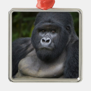 Mountain Gorilla and Silverback Metal Tree Decoration