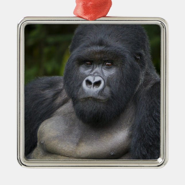 Mountain Gorilla and Silverback Metal Tree Decoration (Front)