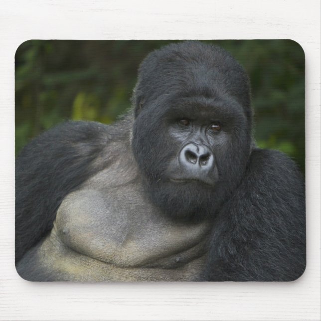 Mountain Gorilla and Silverback Mouse Mat (Front)
