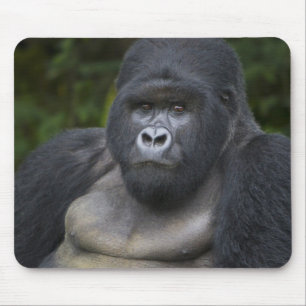 Mountain Gorilla and Silverback Mouse Mat