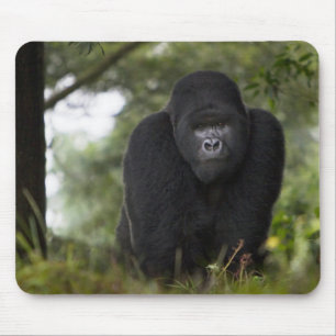Mountain Gorilla and Silverback Mouse Mat