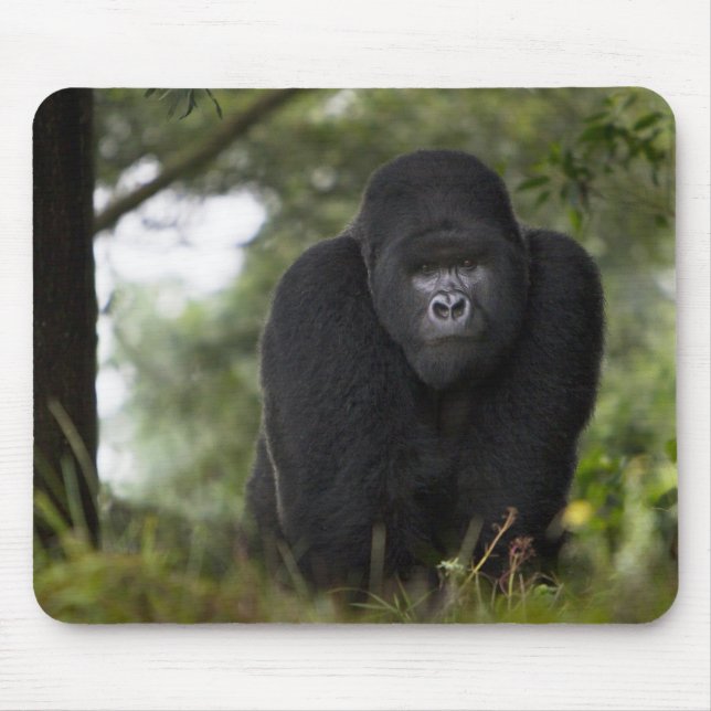 Mountain Gorilla and Silverback Mouse Mat (Front)