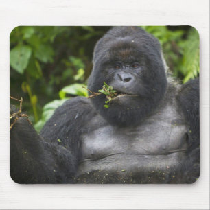 Mountain Gorilla and Silverback Mouse Mat