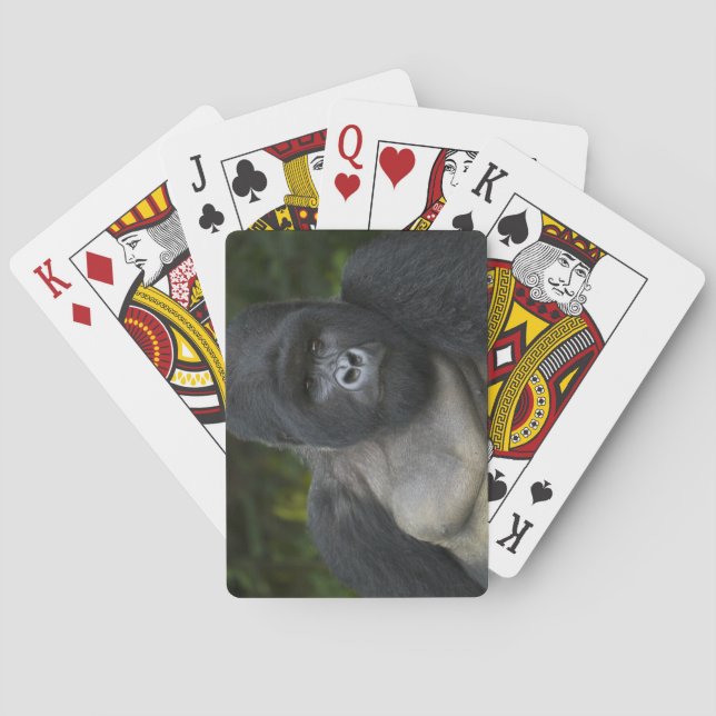 Mountain Gorilla and Silverback Playing Cards (Back)