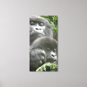 Mountain Gorilla & Baby 20 x 40 in. Canvas Print