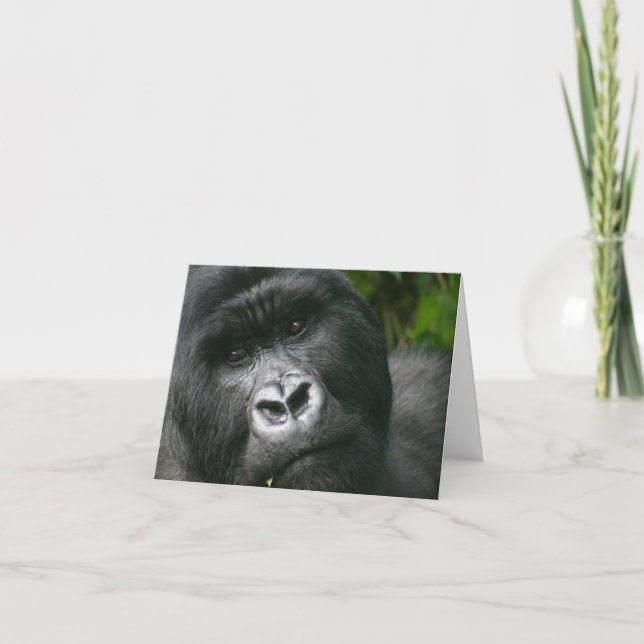 Mountain Gorilla Card (Front)