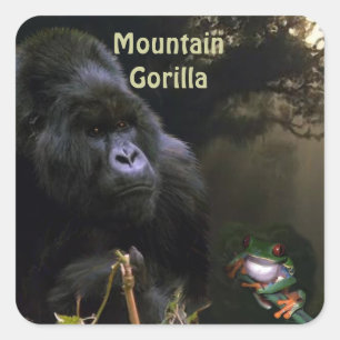 Mountain Gorilla & Frog African Wildlife Sticker