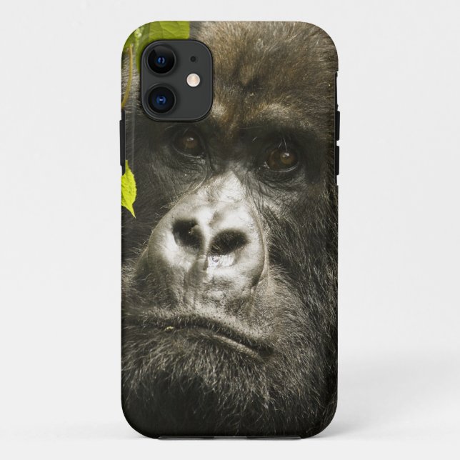 Mountain Gorilla, Gorilla beringei beringei, Case-Mate iPhone Case (Back)