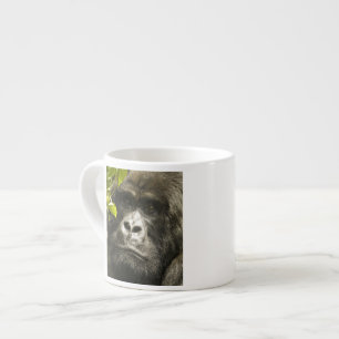 Mountain Gorilla, Gorilla beringei beringei, Espresso Cup