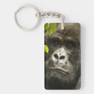 Mountain Gorilla, Gorilla beringei beringei, Key Ring