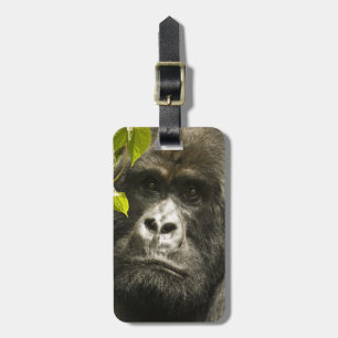 Mountain Gorilla, Gorilla beringei beringei, Luggage Tag