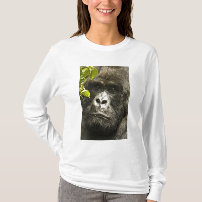 Mountain Gorilla, Gorilla beringei beringei, T-Shirt (Front)