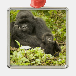Mountain Gorilla, Gorilla beringei (formerly G. Metal Tree Decoration
