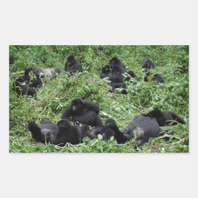 Mountain gorilla group rectangle sticker (Front)