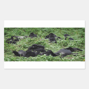 Mountain gorilla group rectangle sticker