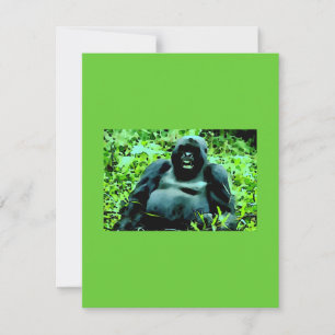 Mountain Gorilla Invitation - Humourous Invitation
