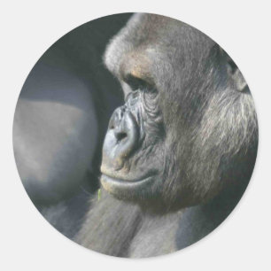 Mountain Gorilla Stickers