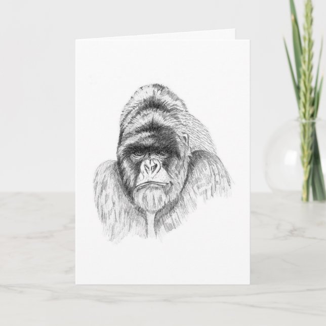 Mountain Gorilla study Birthday Card (Front)