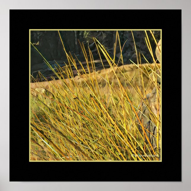 Mountain Grass Poster (Front)