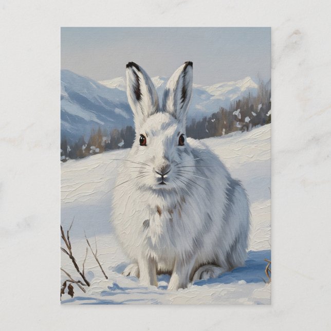 Mountain Hare in Scotland Travel Postcard (Front)
