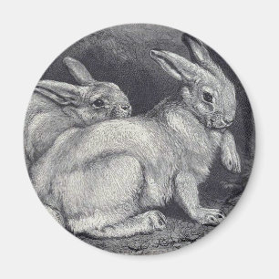 Mountain Hares Magnet