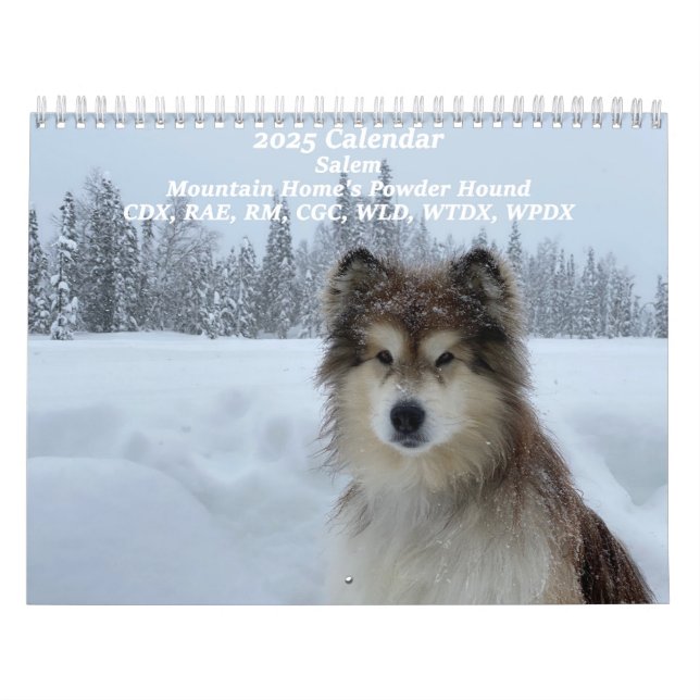 Mountain Home's Powder Hound CDX, RAE, RM, CGC, WL Calendar (Cover)