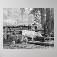Mountain Homestead, 1906. Vintage Photo