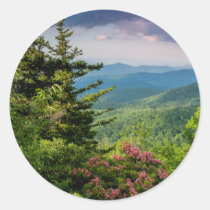 Mountain Laurel at Sunrise Classic Round Sticker
