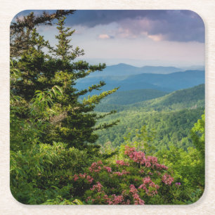 Mountain Laurel at Sunrise Square Paper Coaster