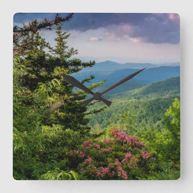 Mountain Laurel at Sunrise Square Wall Clock (Front)