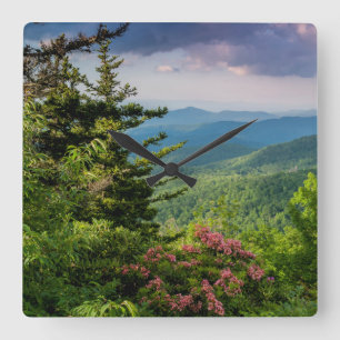 Mountain Laurel at Sunrise Square Wall Clock
