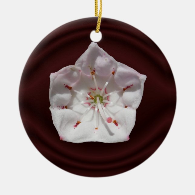Mountain Laurel flower ~ ornament (Front)