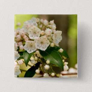 Mountain Laurel in bloom 15 Cm Square Badge