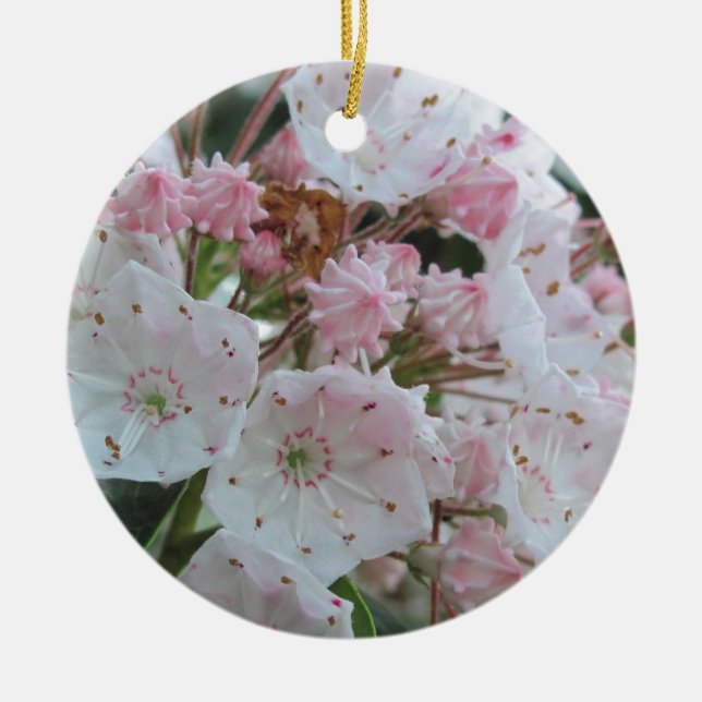 Mountain Laurel Products Ceramic Tree Decoration (Front)