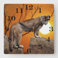 Mountain lion at sunset