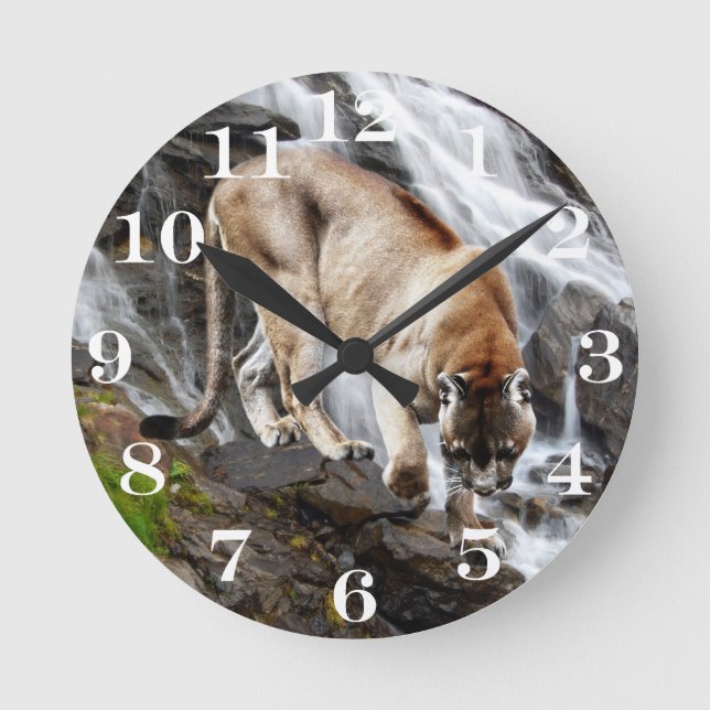 Mountain lion at the waterfall round clock (Front)