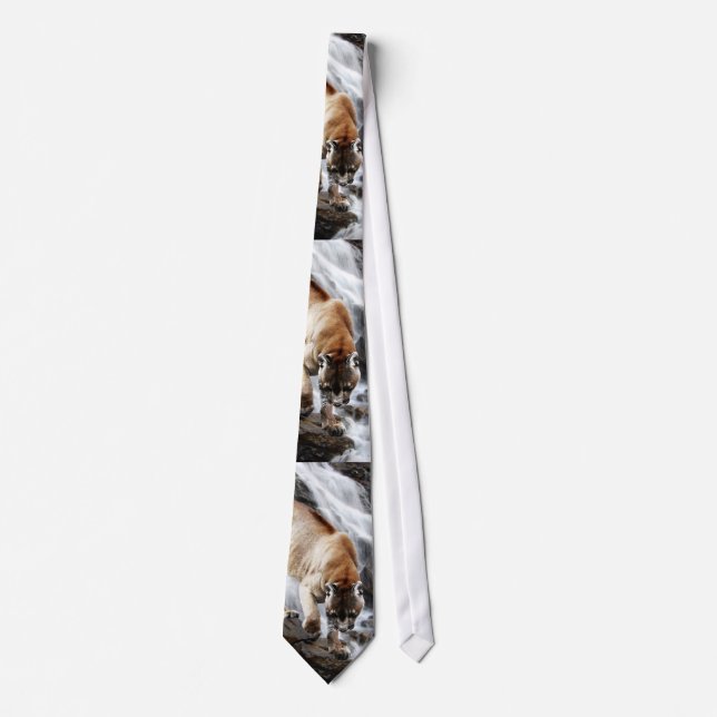 Mountain lion at the waterfall tie (Front)