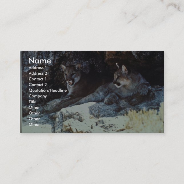 Mountain Lion Business Card (Front)