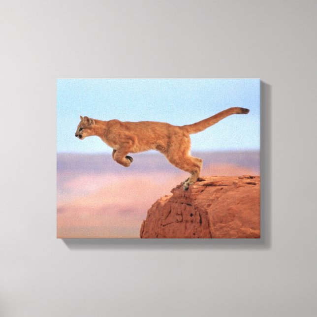 Mountain Lion Canvas Print (Front)